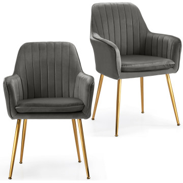 Set of 2 Accent Velvet Dining Chairs with Steel Legs