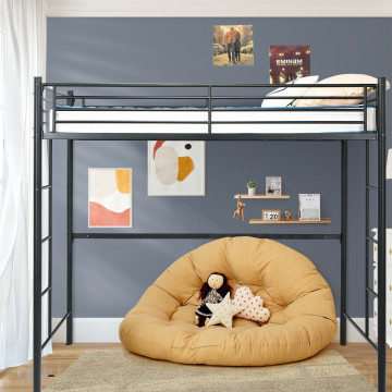 Twin Size Loft with 2 Ladders