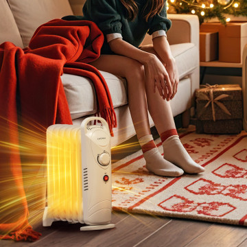 $45! 700W Electric Oil Filled Radiator Heater with Adjustable Thermostat