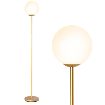 Glass Globe LED Floor Lamp with Acrylic Lampshade