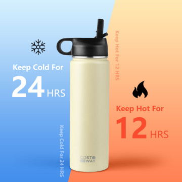 22 Oz Insulated Stainless Steel Water Bottle