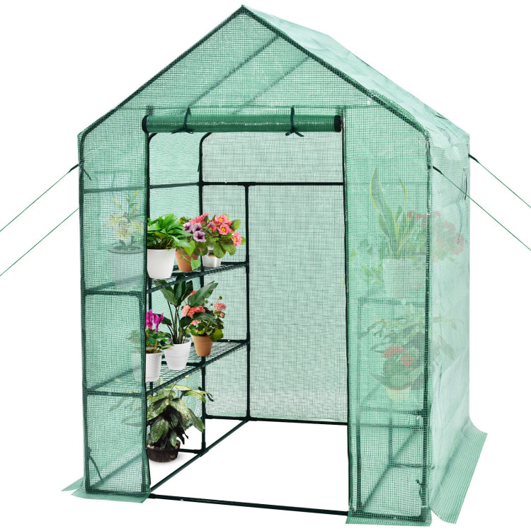 Walk-in Greenhouse 56 x 56 x 77 Inch Gardening with Observation WindowsCostway Gallery View 7 of 11
