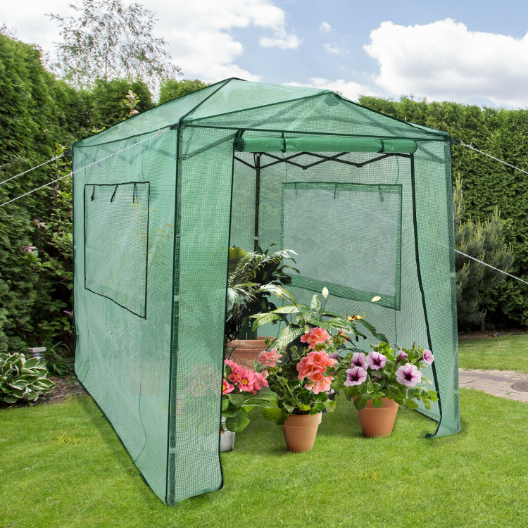 Portable Walk-in Greenhouse  with Window-GreenCostway Gallery View 2 of 12