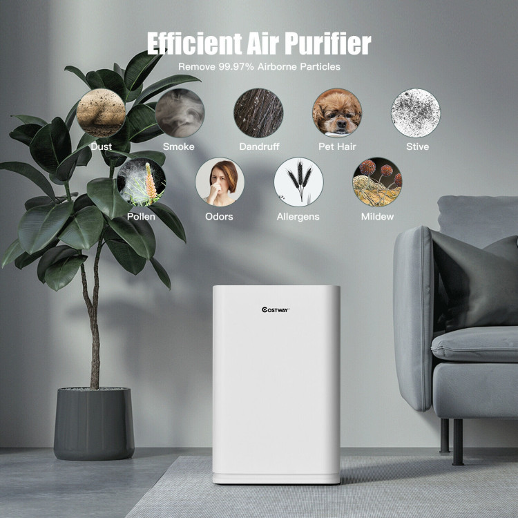 800 sq.ft Air Purifier True HEPA Filter Carbon Filter Air Cleaner Home OfficeCostway Gallery View 13 of 13