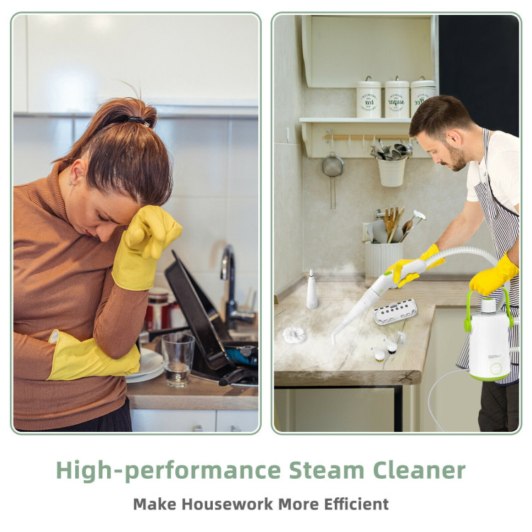 Handheld Steam Cleaner 1000W Portable High Pressurized Steam Cleaning  Machine with 10PCS Accessory for Kitchen Sofa Bathroom Car Window 