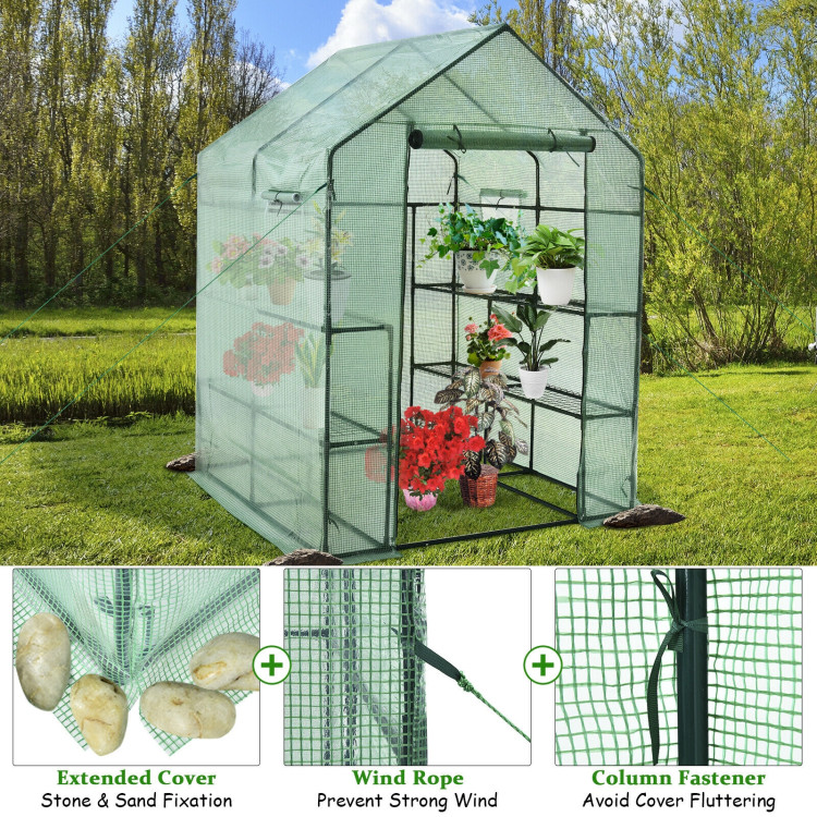 Walk-in Greenhouse 56 x 56 x 77 Inch Gardening with Observation WindowsCostway Gallery View 8 of 11