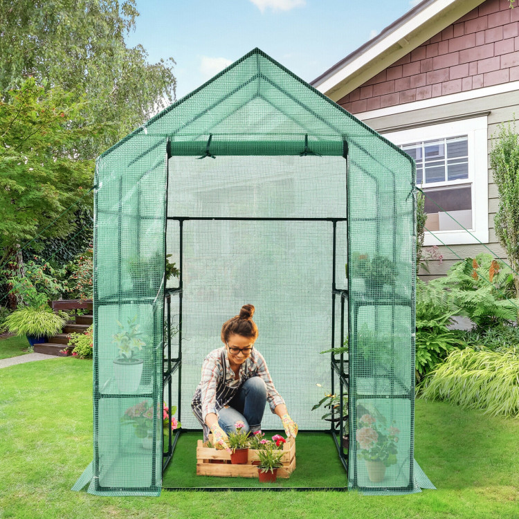 Walk-in Greenhouse 56 x 56 x 77 Inch Gardening with Observation WindowsCostway Gallery View 6 of 11