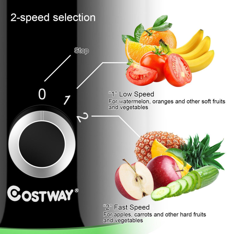 2 Speed Wide Mouth Fruit and Vegetable Centrifugal Electric JuicerCostway Gallery View 6 of 8