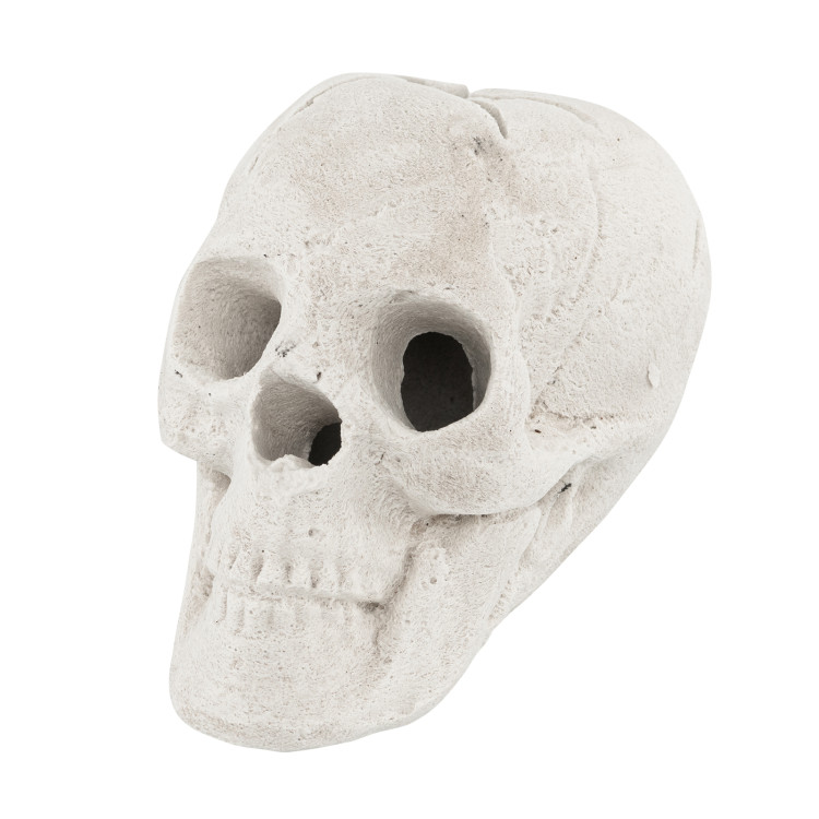Halloween Fire Pit Skull Halloween Decoration-Beige-for FB - Gallery View 4 of 10