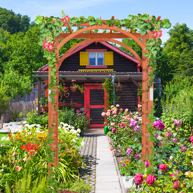 Buy Garden Trellis for Climbing Plants - Best Garden Products