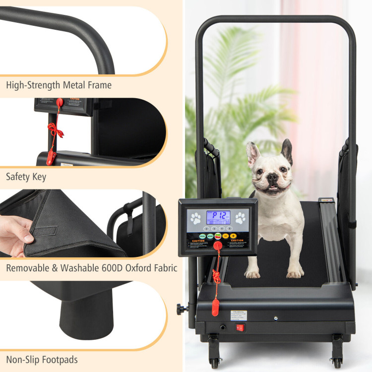 Indoor Pet Exercise Equipment with Remote ControlCostway Gallery View 10 of 10