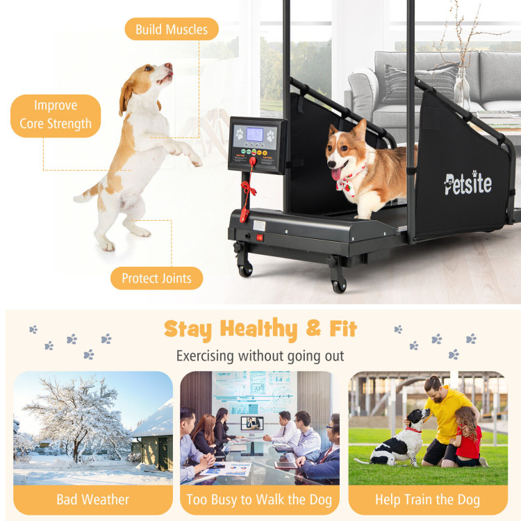 Indoor Pet Exercise Equipment with Remote ControlCostway Gallery View 6 of 10