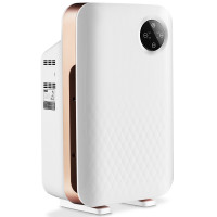 Air Purifier with True HEPA Activated Carbon Filter