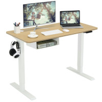 48-Inch Electric Standing Adjustable Desk with Control Panel and USB Port