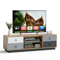 55 Inch TV Stand Entertainment Media Center with Storage Cabinets and Adjustable Shelves