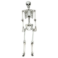5.4ft Halloween Skeleton Life Size Realistic Full Body Hanging