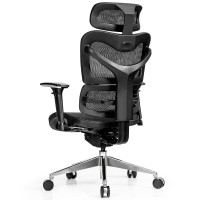 Ergonomic Mesh Adjustable High Back Office Chair with Lumbar Support