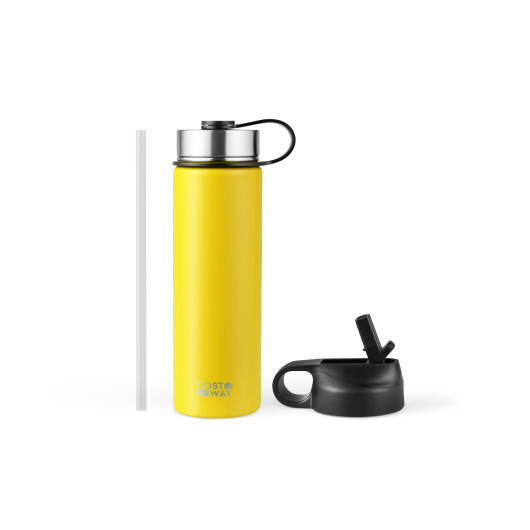 22 Oz Double-walled Insulated Stainless Steel Water Bottle with 2 Lids and Straw-Yellow