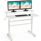 Standing Desk Crank Adjustable Sit to Stand Workstation 