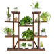 6 Tier Wood Plant Stand Flower Shelf Rack Holder
