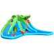 Crocodile Themed Inflatable Dual Slide Bounce House Without Blower