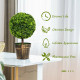 2 Pieces 24 Inch Artificial Boxwood Topiary Ball Tree for House and Office