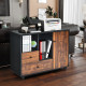 Lateral Mobile Filing Open Cabinet Large Printer Stand with 2 Drawers