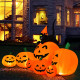 Halloween 7.5 Feet Inflatable Pumpkin Combo with Witch Black Cat