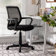 Mid-Back Mesh Height Adjustable Executive Chair with Lumbar Support