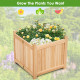 Foldable Flower Bed with Drainage Hole and Base