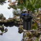 4000 Gallons Pond Pressure Bio Filter with 13W UV Light