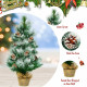 24 Inch Snow Flocked Artificial Christmas Tree