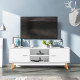 Entertainment Center Console Cabinet TV Stand with 2 Doors