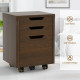 Mobile Storage Cabinet with 3 Drawers