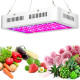 1000 W Indoor Full Spectrum LED Plants Grow Lamp