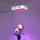 1000 W Indoor Full Spectrum LED Plants Grow Lamp