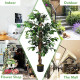 4 Feet In/Outdoor Trunks Artificial Ficus Silk Tree