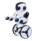 2.4G RC Smart Self Balancing Robot with Remote Control 