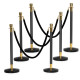 6 Pcs Round Top Polished Stainless Stanchions Posts Queue Pole with 5 ft BlackVelvet Rope