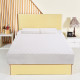 10 Inch Topper Bed Memory Foam Mattress with 2 Free Pillows