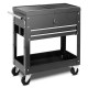 Rolling Mechanics Tool Cart Slide Top Utility Storage Cabinet Organizer 2 Drawer