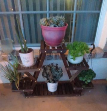 PERFECT PLANT STAND