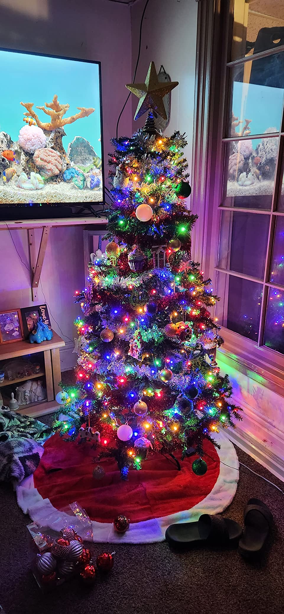 Nice tree/lights