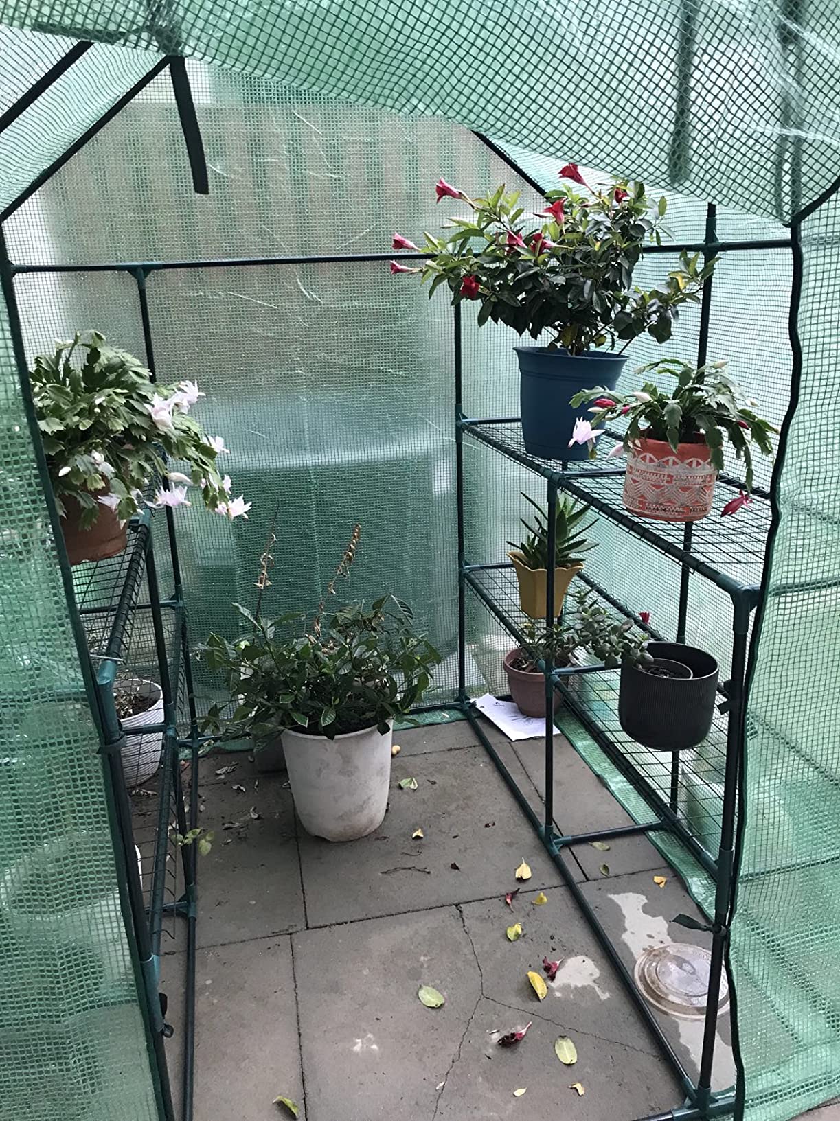 like this greenhouse